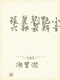 张丽刘艳小说第六部最新章节