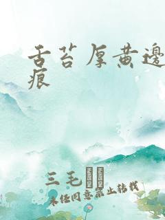 舌苔厚黄边有齿痕