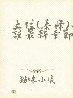 上位(秦峰)小说最新章节