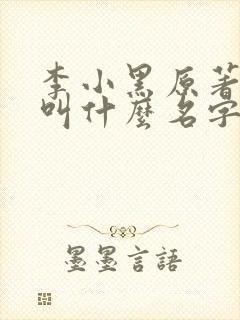李小黑原著小说叫什么名字