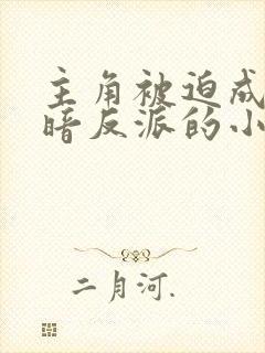 主角被迫成为黑暗反派的小说