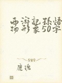 西游记孙悟空人物形象50字