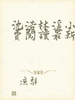 沈浩林溪小说免费阅读最新章节更新