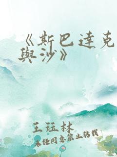 《斯巴达克斯血与沙》