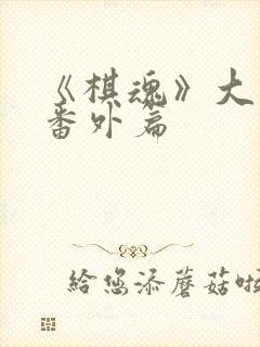 《棋魂》大结局番外篇