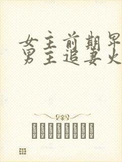 女主前期卑微后男主追妻火葬场