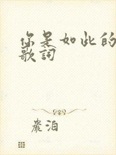 你是如此的爱我歌词