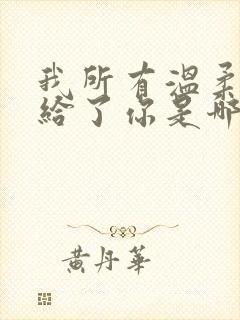 我所有温柔都已给了你是哪首歌的歌词