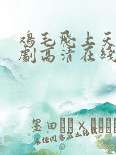 鸡毛飞上天电视剧高清在线