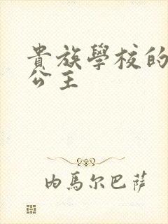 贵族学校的双面公主