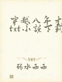 穿越八年才出道txt小说下载
