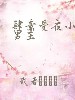 肆意爱夜小说双男主