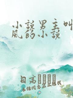 小说男主叫沈南风的小说