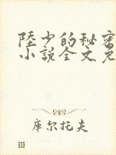 陆少的秘密恋人小说全文免费阅读