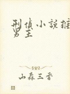 刑侦小说推荐双男主