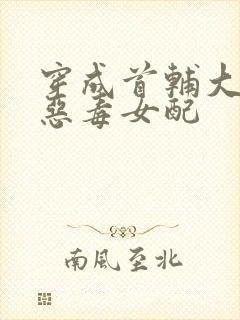 穿成首辅大人的恶毒女配