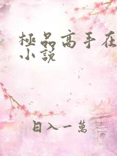 极品高手在都市小说