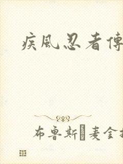 疾风忍者传下载