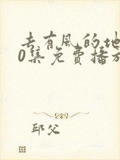 去有风的地方40集免费播放电视剧