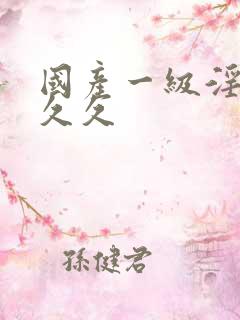 国产一级淫片久久久