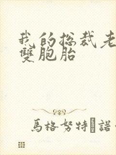 我的总裁老婆是双胞胎