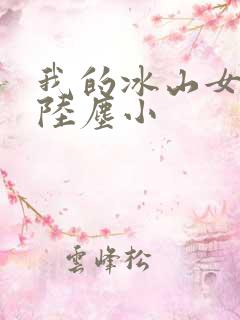 我的冰山女总裁陆尘小