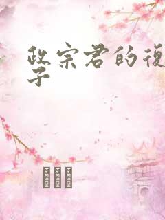 政宗君的复仇宁子