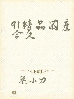 91精品国产综合久