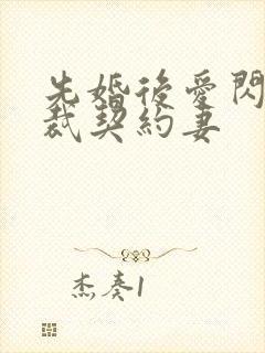 先婚后爱闪婚总裁契约妻