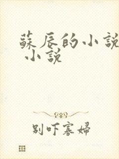 苏辰的小说主角 小说