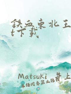 铁血东北王txt下载