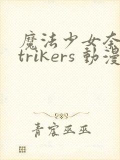 魔法少女奈叶strikers 动漫