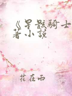 《星骸骑士》原著小说