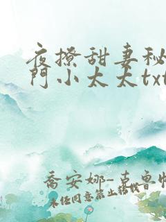 夜撩甜妻秘爱豪门小太太txt