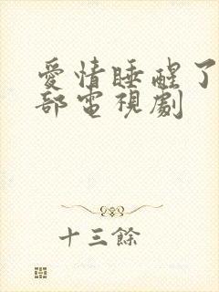 爱情睡醒了第二部电视剧