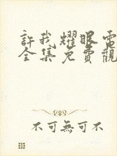 许我耀眼电视剧全集免费观看