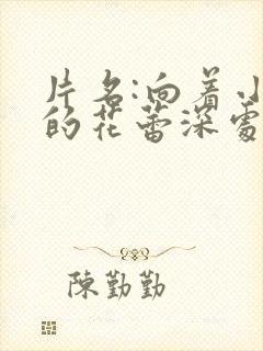 片名:向着小小的花蕾深处