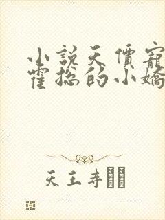 小说天价宠婚:霍总的小娇妻