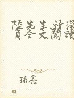 陆先生,情深不负全文阅读免费