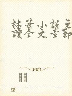 林萧小说免费阅读全文章节