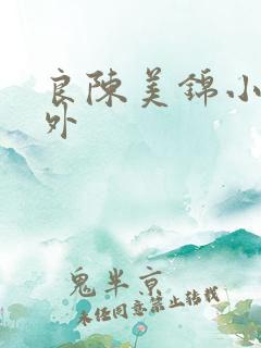 良陈美锦小说番外