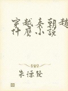 穿越秦朝赵浪是什么小说