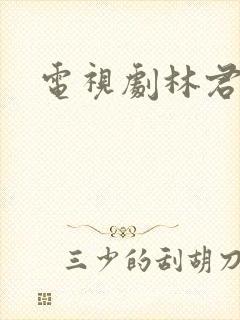 电视剧林君唐鹏