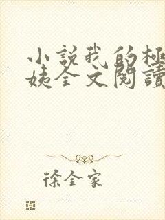 小说我的极品小姨全文阅读