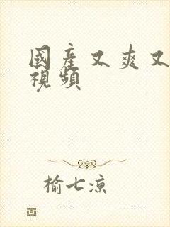 国产又爽又黄的视频