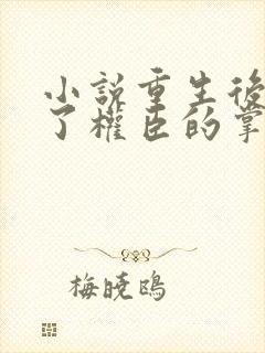 小说重生后我成了权臣的掌中娇免费阅读原文