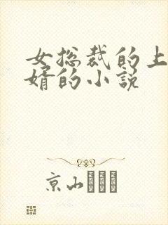 女总裁的上门女婿的小说