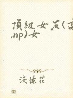 顶级女友(高h,np)女