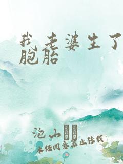 我老婆生了对双胞胎