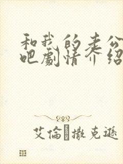 和我的老公结婚吧剧情介绍